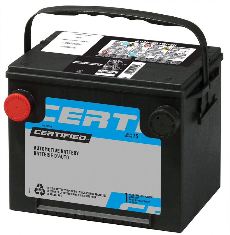 OEPLUS Group Size 34 Battery, 800 CCA W2T6